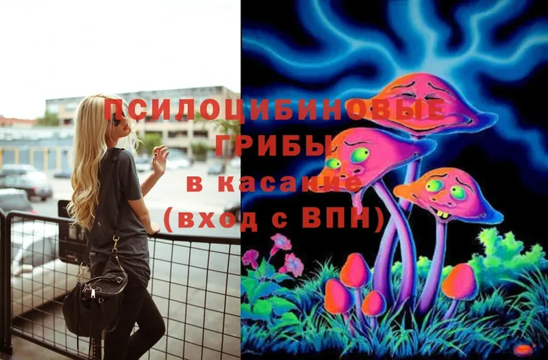 Псилоцибиновые грибы MAGIC MUSHROOMS  Холмск 